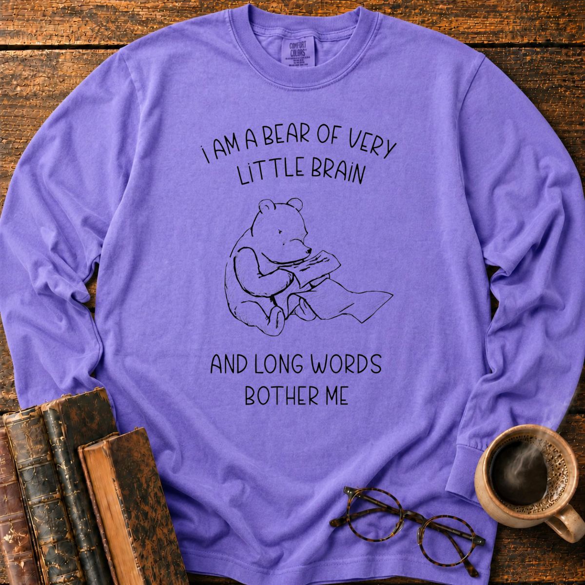 Bear Of Little Brain Sketch LS T-Shirt