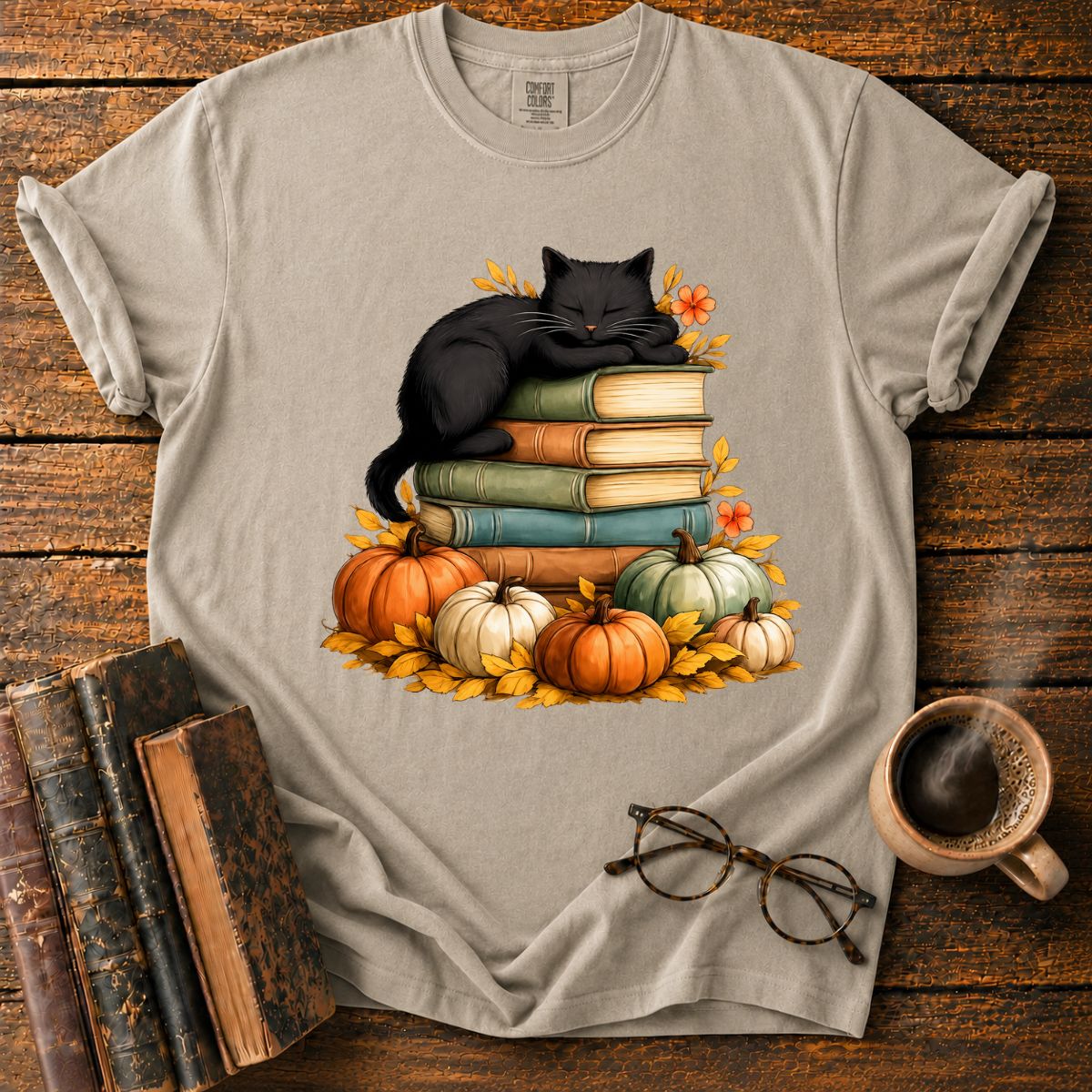 Black Cat Sleep On Books T-Shirt