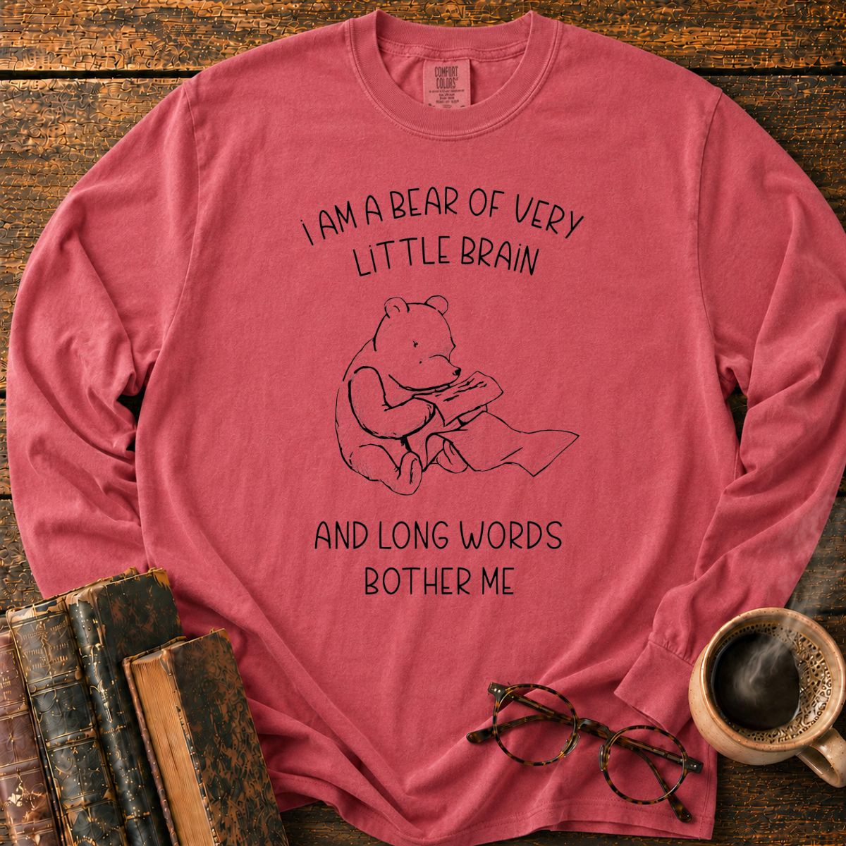 Bear Of Little Brain Sketch LS T-Shirt