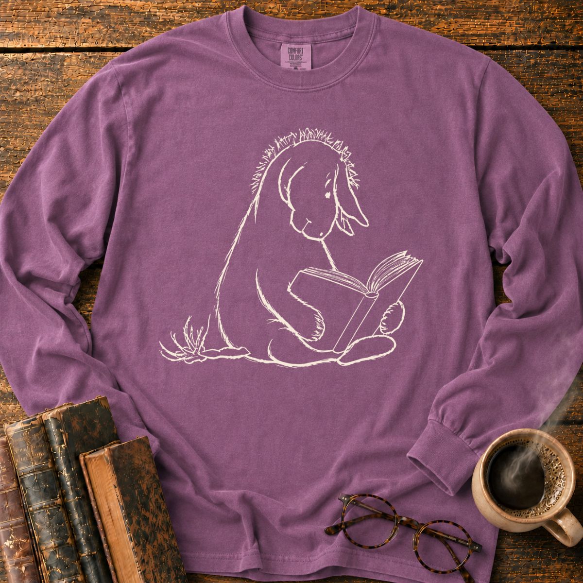 Donkey 1926 Reading Book LS T-Shirt