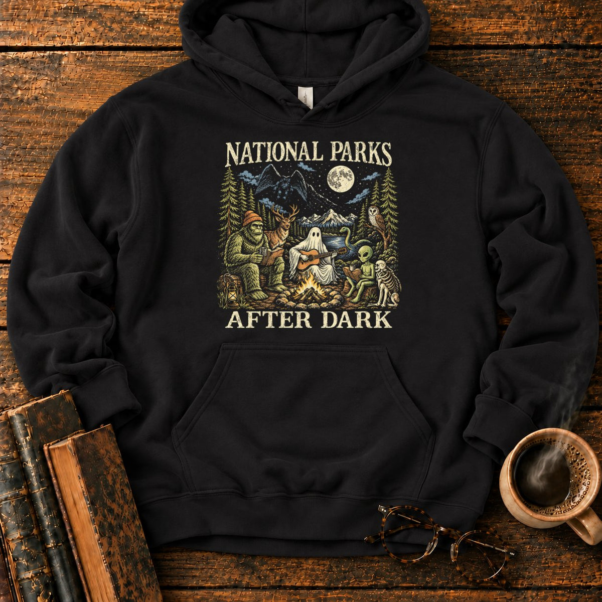 National Parks After Dark Hoodie in Black – BooksThreads