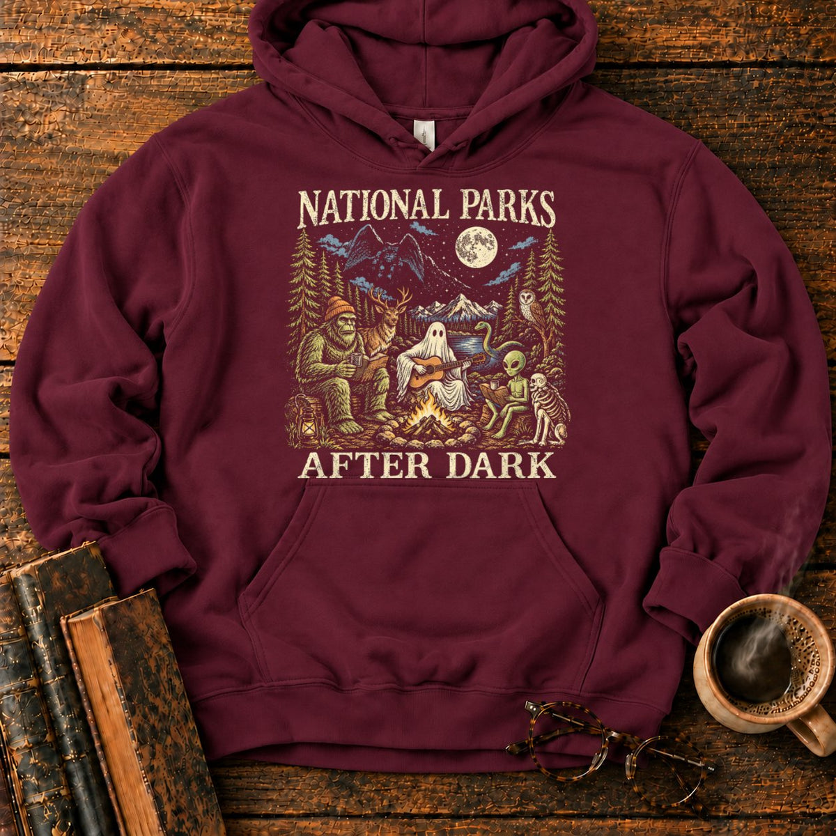 National Parks After Dark Hoodie in Maroon – BooksThreads