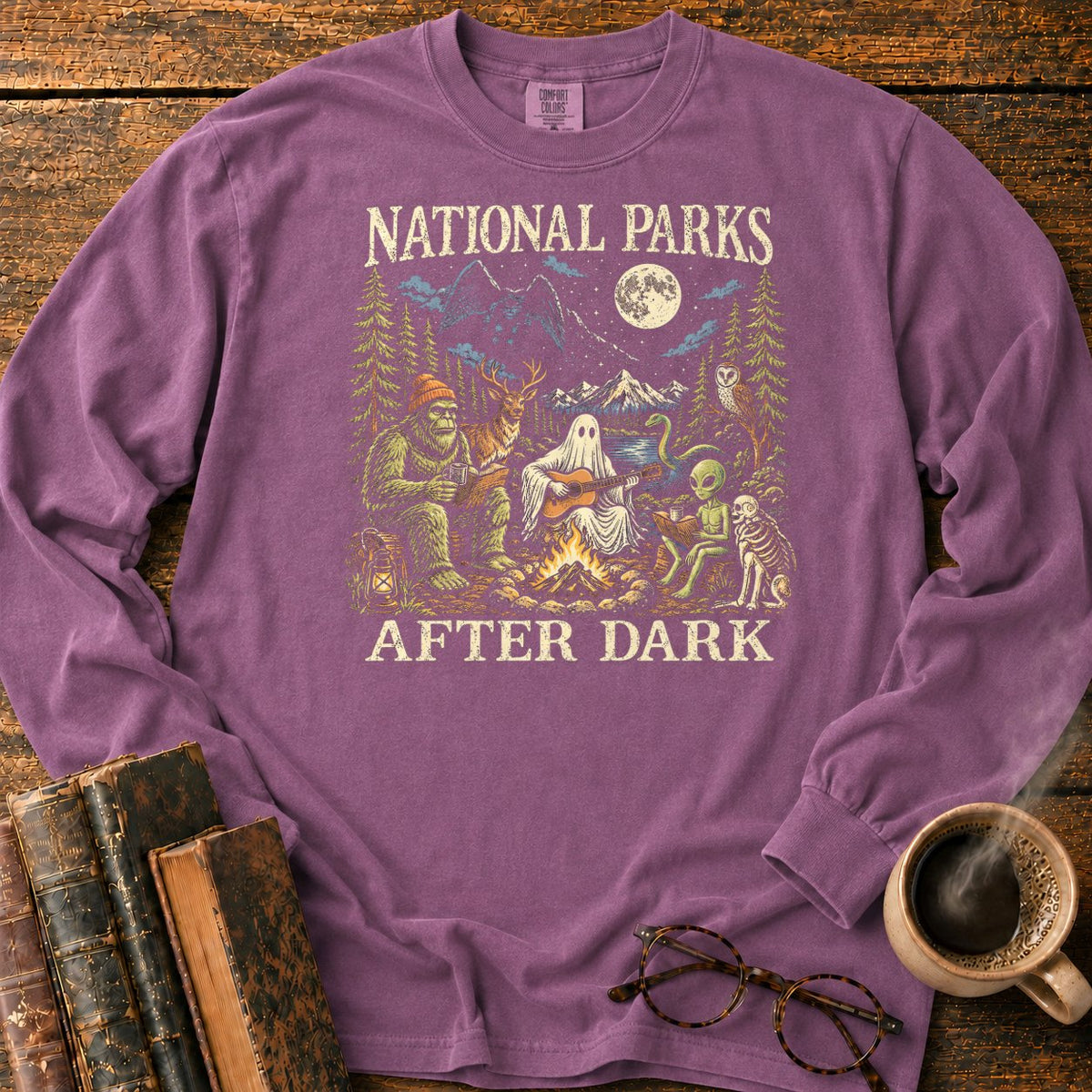 National Parks After Dark LS T-Shirt in Berry – BooksThreads